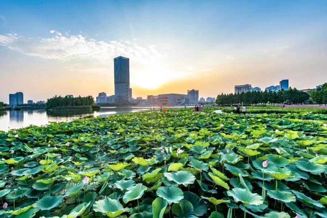 嘉定 保利國際廣場 2000平米 簡裝